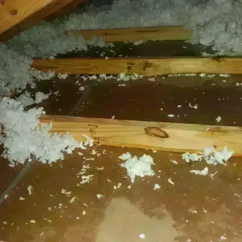 Attic Water Damage in Fairlea, WV